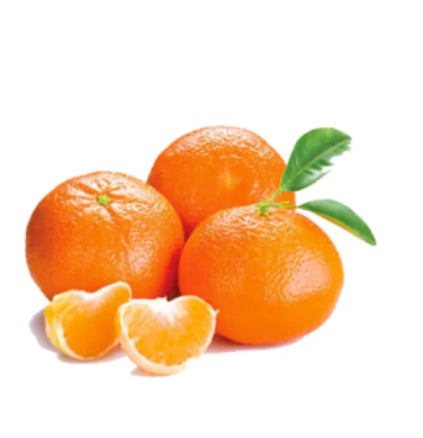 Suc de mandarine congelat (1kg)