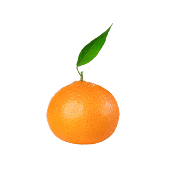 Suc de mandarine congelat (1kg)