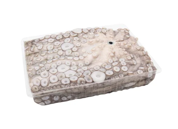 Caracatita congelata intreaga 5-6,5 kg