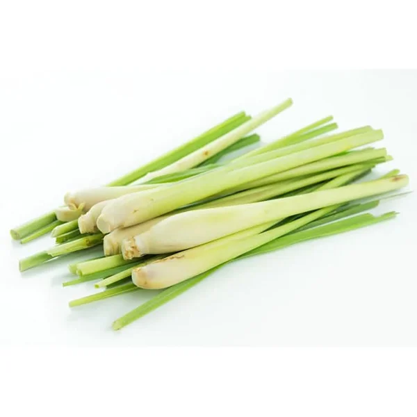 Lemon Grass (100gr)