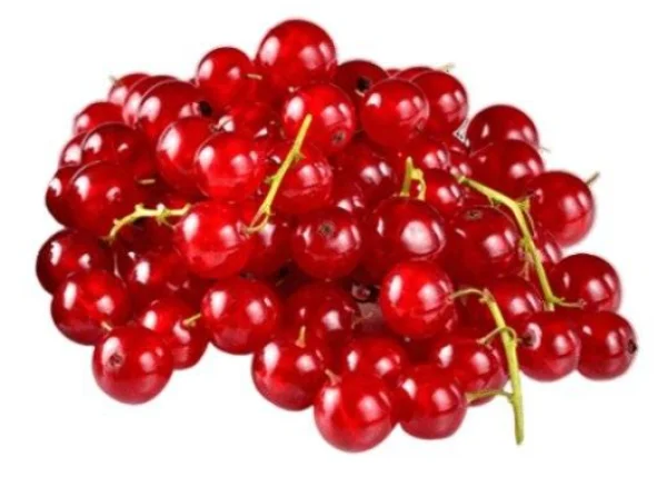 Coacaza rosie congelata (1kg)